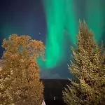Arctic With Free Parking
