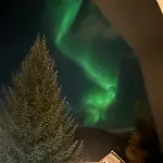 Arctic With Free Parking *