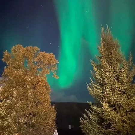 Arctic With Free Parking