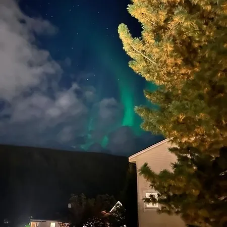 Arctic With Free Parking Apartment *