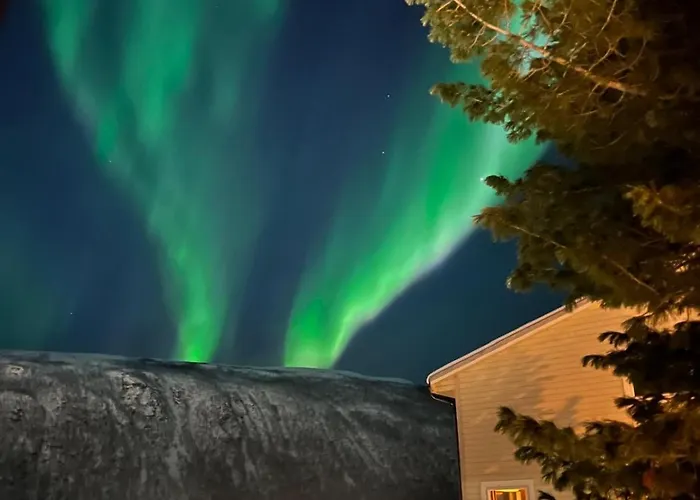 Apartament Arctic With Free Parking