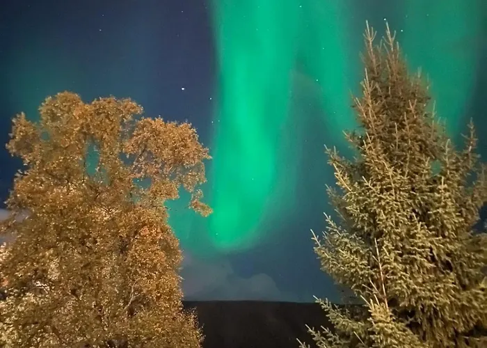 Arctic With Free Parking Apartament *
