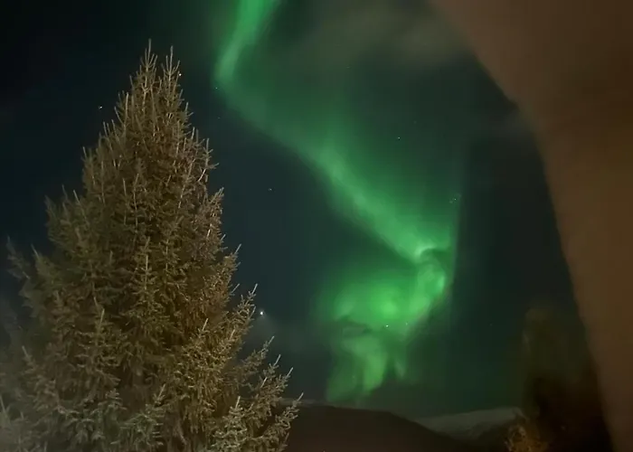 Arctic With Free Parking *